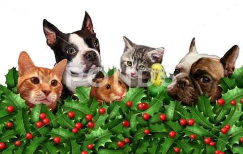 Cute Holiday Pets Group Stock Illustration