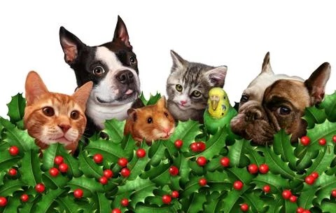 Cute Holiday Pets Group Иллюстрация