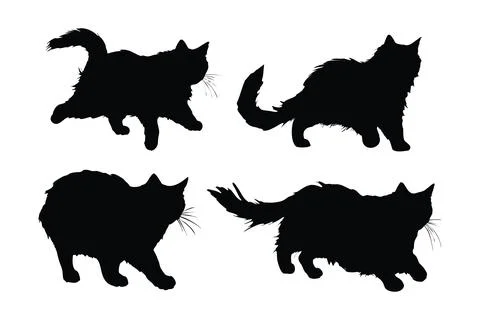 Cute home cat vector design on a white background. Cute cat walking silhoue.. Stock Illustration