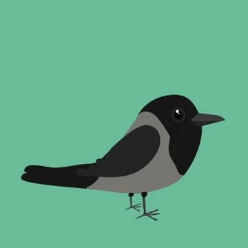 Cute hooded crow Illustrazione stock