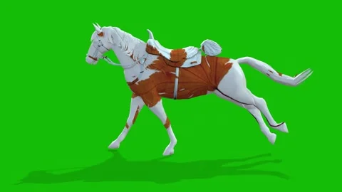 A Cute Horse Run Fast Left Side - On Green Screen - 3D Rendering Animation Stock Footage 308064157