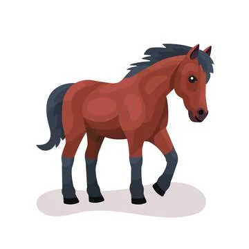 Cute horse vector flat illustration isolated on white background. Farm animal Stock-Illustration