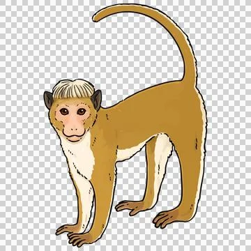 Cute illustration of Toque macaque Stock Illustration