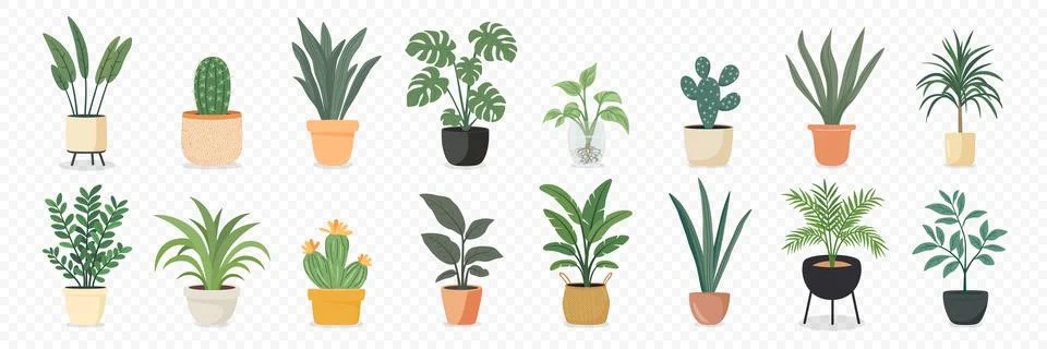 Cute Indoor Plants, Flat Vector Set. House Plants in Ceramic Pots, Cups, Basket Stock Illustration