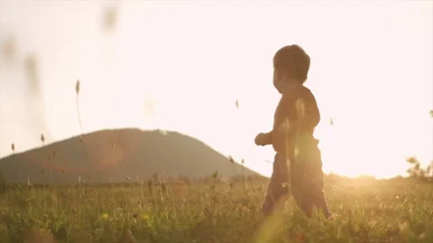 Cute infant baby learning to walking first step on grass in park during sunset Stock Footage 283622488