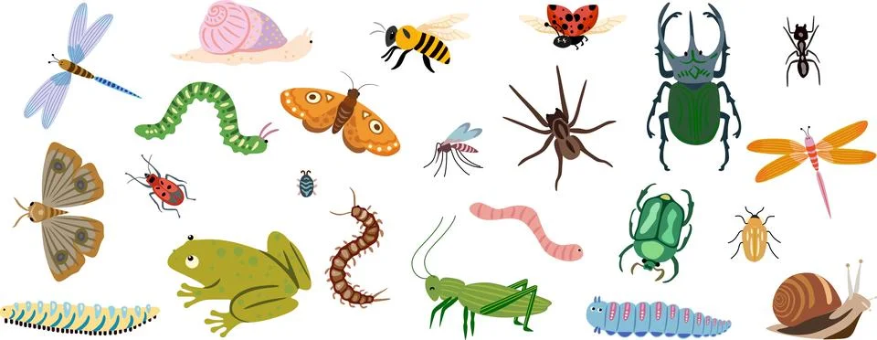 Cute insect and bug collection vector illustration set Stock Illustration
