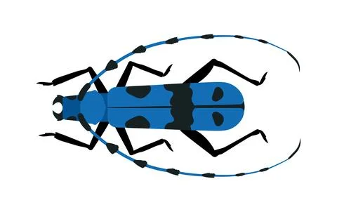 Cute insect vector concept Illustrazione stock