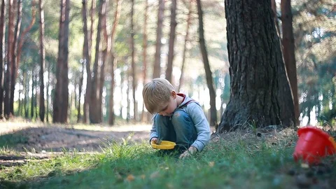 Cute kid boy child playing toys in sunny forest with magic cinematic swirl bokeh Video stock 101062107