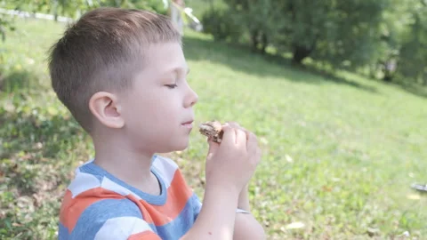 Cute Kid boy outdoors eating a sandwich Stock Footage 101351898