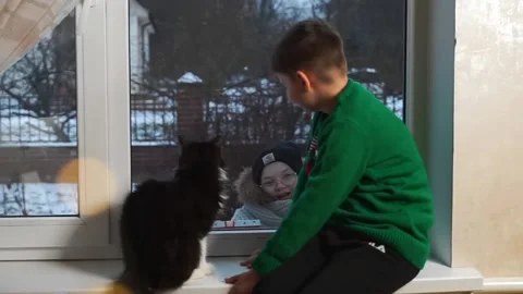 Cute kid boy with pet cat sitting on sill looking through the glass window ta Vídeos de archivo 145211720