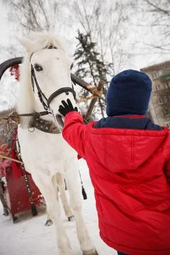 Cute kid boy in a red jacket stroking a white horse harnessed to a sled Foto stock