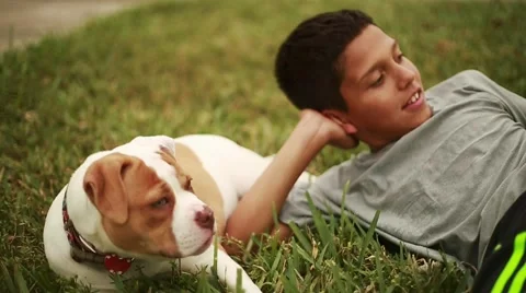 Cute kid laying down in grass with adorable dog Stock Footage 49747706