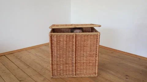 Cute kid play and hide in basket. Stock Footage 237917426