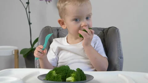 Cute kid ( two years old child, caucasian little boy)  eating broccoli Vidéo 103444905