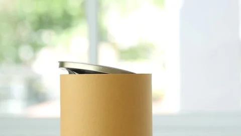 Cute kitten in a cylinder box, slow motion Stock Footage 76000531