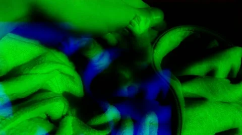 Cute kitten Stockbeeldmateriaal 44783862