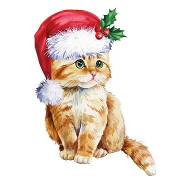 Cute kitten in red santa hat on isolated white background, holiday watercolor Stock Illustration