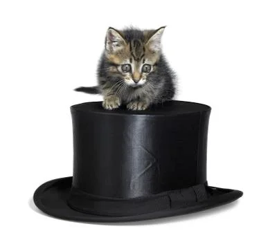 Cute kitten on top hat Stock Photos