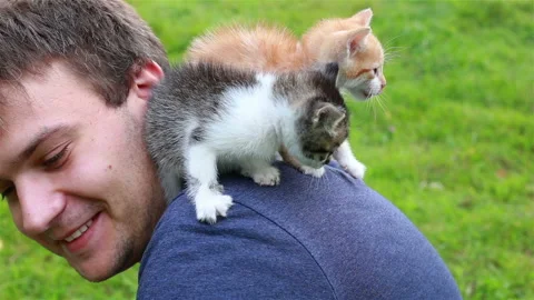 Cute Kitty Sitting on Young Man Shoulder. Stock Footage 94373297