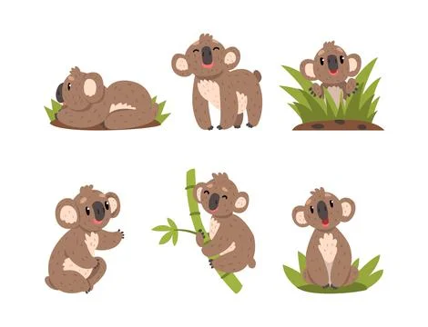Cute Koala Bear on Eucalyptus Branch and Sitting in Green Grass Vector Set Stock Illustration