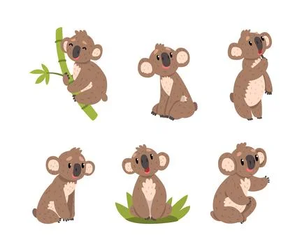 Cute Koala Bear on Eucalyptus Branch and Sitting in Green Grass Vector Set Stock Illustration