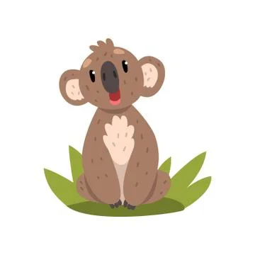 Cute koala bear sitting on the grass, Australian marsupial animal character Stock Illustration