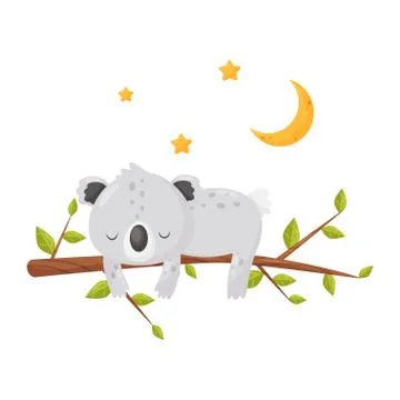 Cute koala bear sleeping on a branch under a starry sky, lovely animal cartoon Stock Illustration