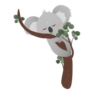Cute koala bear sleeping on eucalyptus tree while hugging tree, stiker for kids Stock Illustration