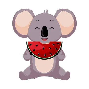 Cute Koala eating watermelon isolated on white background. Cartoon character  Stock Illustration