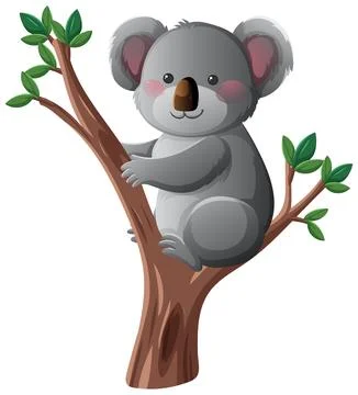 Cute Koala Sitting on Tree Branch Vector Illustration 스톡 일러스트