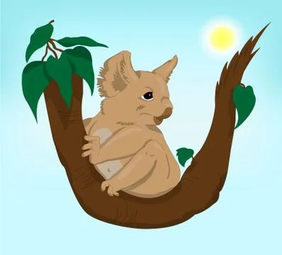 Cute Koala sitting on a tree Stock Illustration