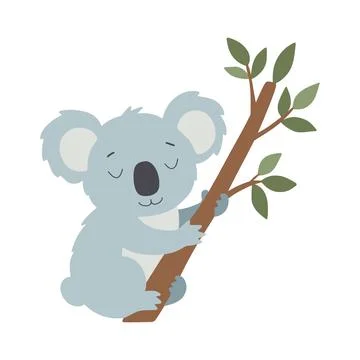 Cute koala sleeping on eucalyptus tree branch Stock Illustration