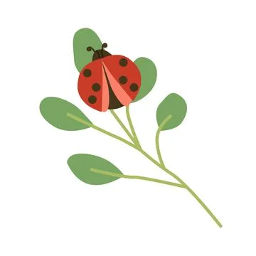 Cute ladybird red bug on a leaf decorative vector Illustrazione stock