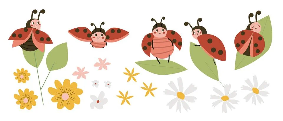 Cute Ladybug and flowers vector set in cartoon flat style. Baby ladybird on Stock Illustration