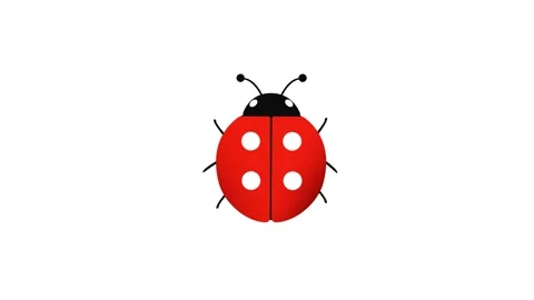 Cute ladybug animation with red and black dots has a cute smile. Stock Footage 311841840