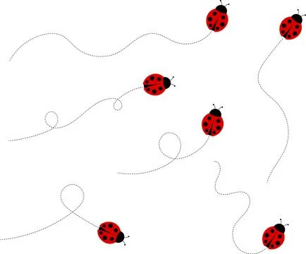 Cute ladybug cartoon icon. ladybug characters collection with dotted path Stock Illustration