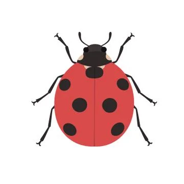 Cute ladybug cartoon Stock Illustration