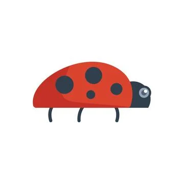 Cute ladybug crawling with red shell and black spots Stock Illustration
