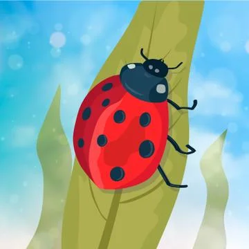 Cute Ladybug on green leaf, vector Stock Illustration