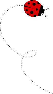 Cute ladybug icon. ladybug characters collection. Cute Ladybird with dotted path イラスト素材