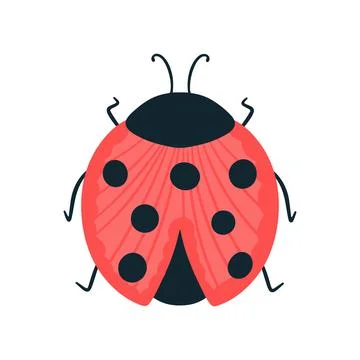 Cute ladybug isolated on white background, flat style Stock Illustration