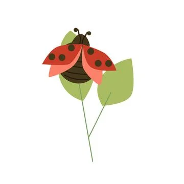 Cute ladybug red bug animal on green leaf Illustrazione stock