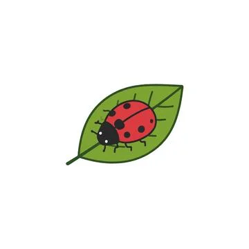 Cute ladybug resting on a green leaf, a simple whimsical illustration for c.. Stock Illustration