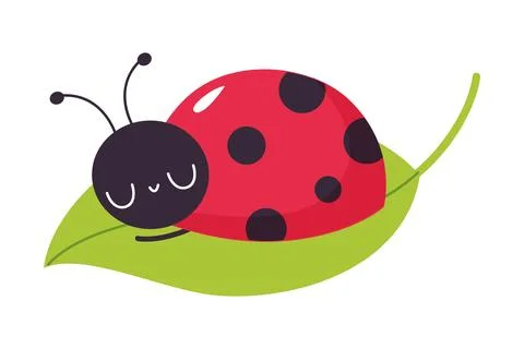 Cute ladybug sleeping on green leaf. Funny little ladybird insect cartoon vector Illustrazione stock