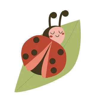 Cute Ladybug vector illustration in cartoon flat style. Baby ladybird on le.. Stock Illustration