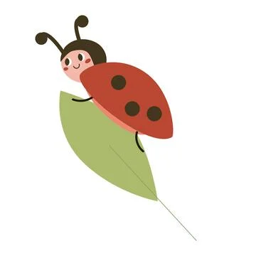Cute Ladybug vector illustration in cartoon flat style. Baby ladybird on le.. Stock Illustration