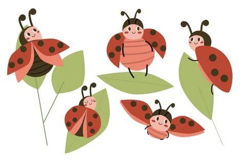 Cute Ladybug vector set in cartoon flat style. Baby ladybird on leaves. Red b Stock Illustration