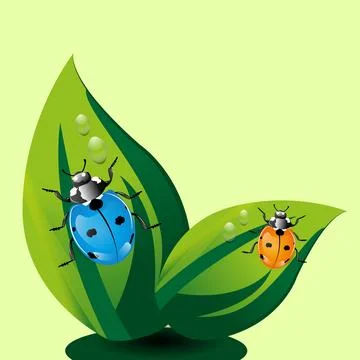Cute ladybug walking in green leafs Stock Illustration