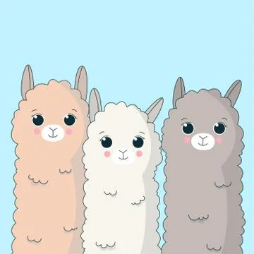 Cute lamas watching at you. Vector illustration Stock Illustration