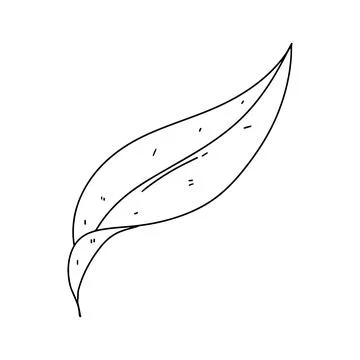 Cute leaf in hand drawn doodle style. Vector illustration isolated on white b Stock Illustration
